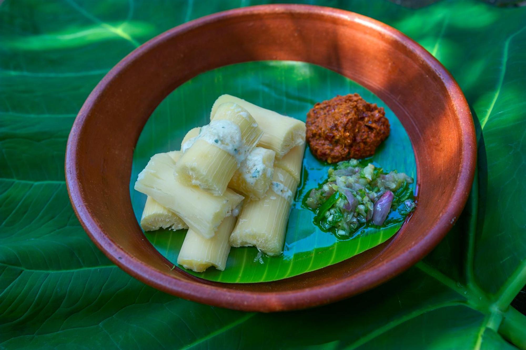 Hotel Cardamom County By Xandari Thekkady Zewnętrze zdjęcie